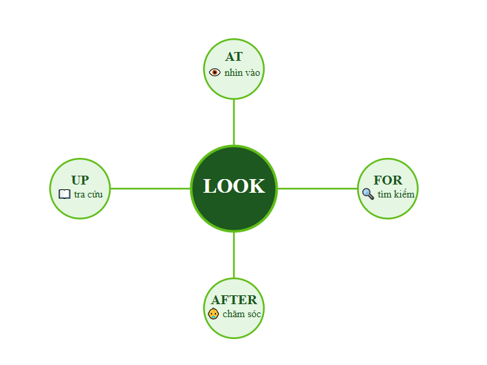 ví dụ look